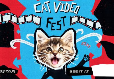 Gatti, esiste un festival cinematografico interamente dedicato a loro