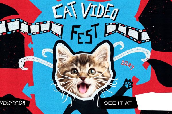 Gatti, esiste un festival cinematografico interamente dedicato a loro
