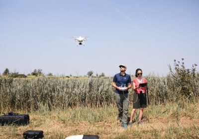 Delta del Po, come l’AI salverà il riso dalla crisi climatica