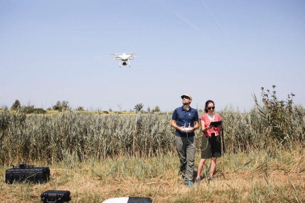 Delta del Po, come l’AI salverà il riso dalla crisi climatica