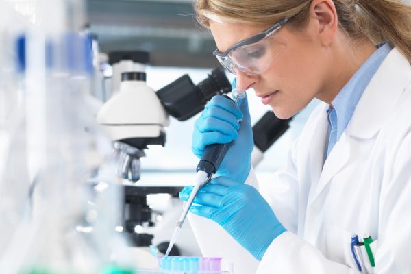 Ortaggi geneticamente modificati, i progetti italiani