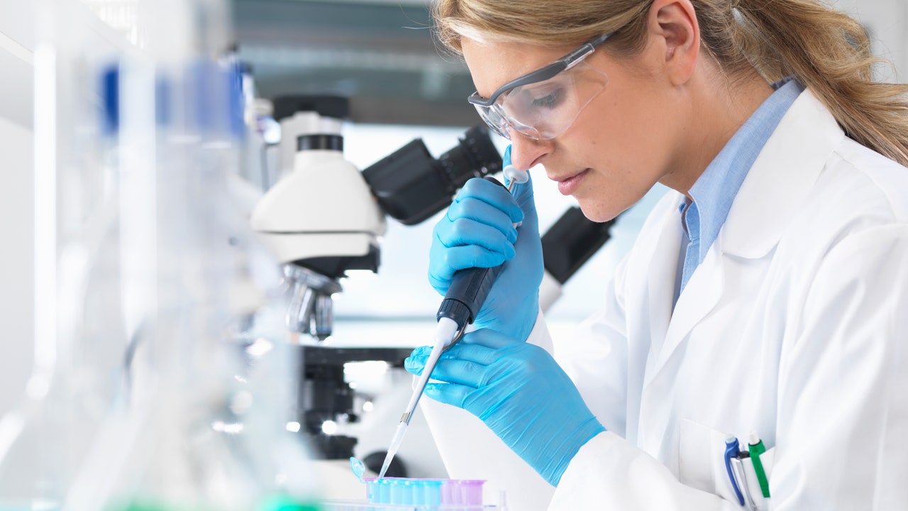 Ortaggi geneticamente modificati, i progetti italiani