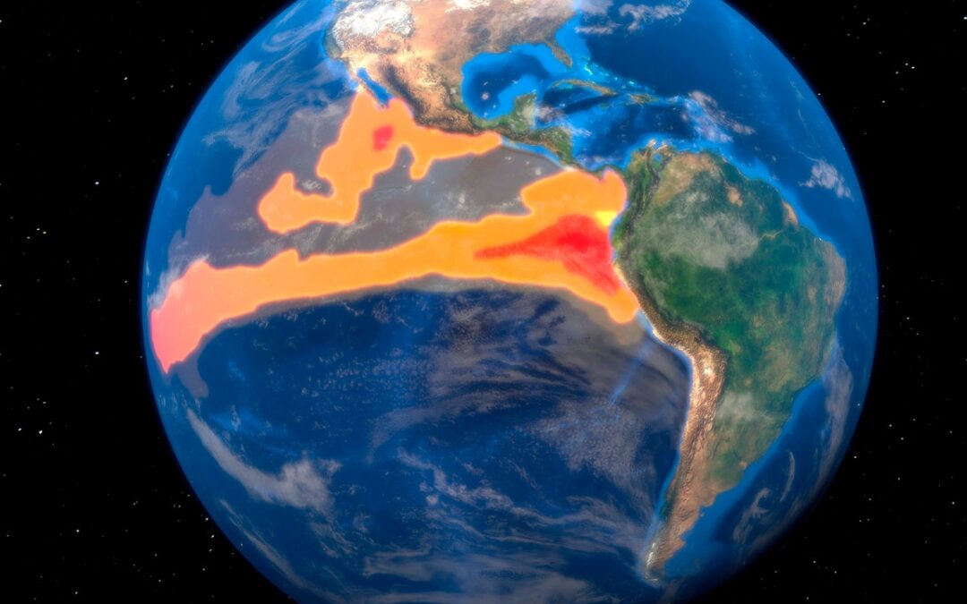 Luglio 2024 è il secondo mese più caldo mai registrato sul pianeta