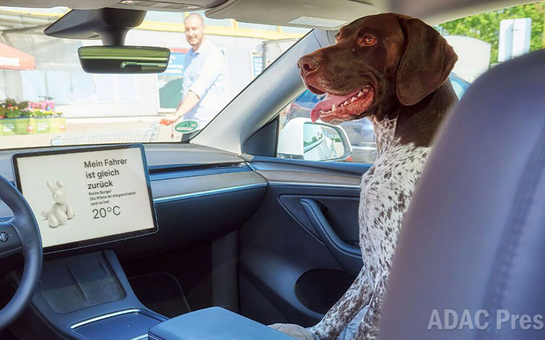 La Modalità Cane di Tesla funziona davvero? Ecco cosa dice il test eseguito in Germania