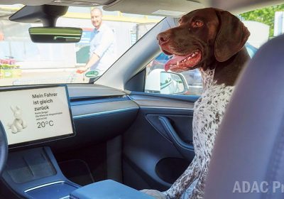 La Modalità Cane di Tesla funziona davvero? Ecco cosa dice il test eseguito in Germania