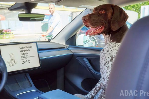La Modalità Cane di Tesla funziona davvero? Ecco cosa dice il test eseguito in Germania