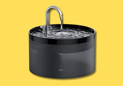 13 fontanelle d’acqua per gatti sempre idratati (e felici)