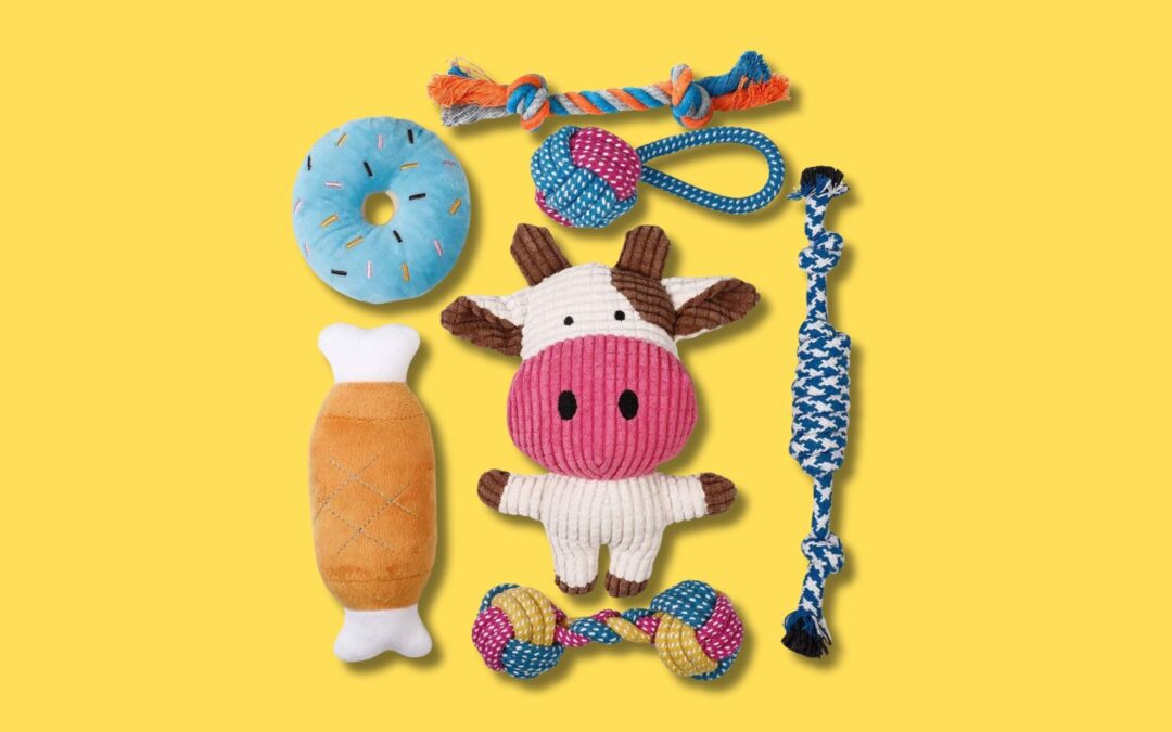 10 giochi per cani che faranno impazzire il tuo amico peloso