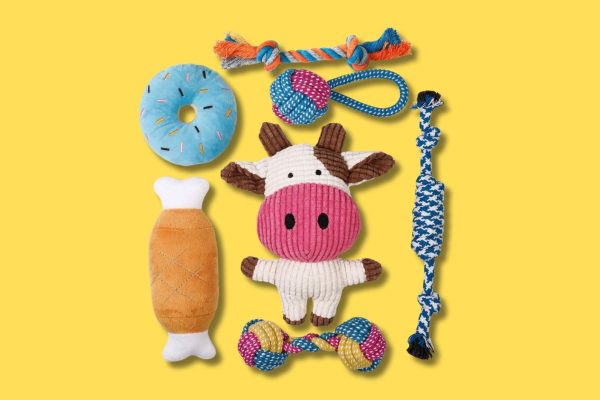 10 giochi per cani che faranno impazzire il tuo amico peloso