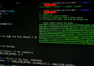 vulnerabilità colpisce dispositivi con CPU RISC-V