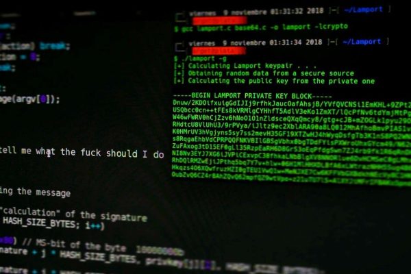 vulnerabilità colpisce dispositivi con CPU RISC-V