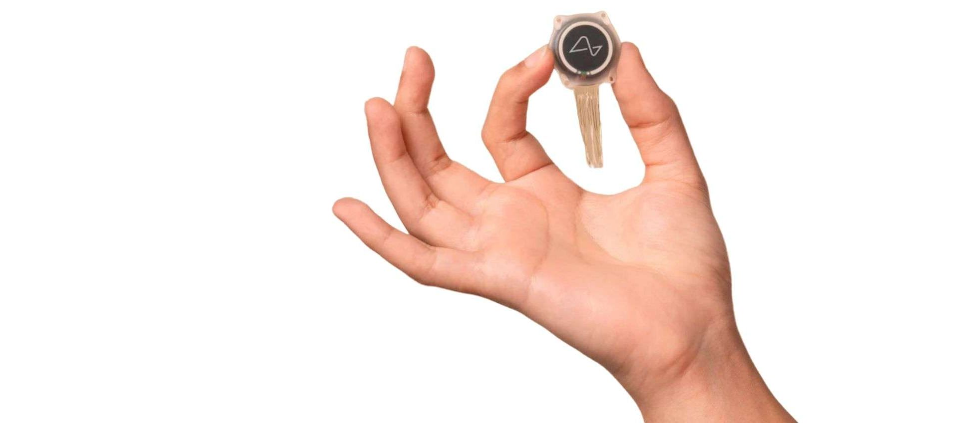 Neuralink non può restituire la vista, la critica di uno studio