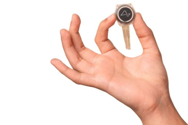 Neuralink non può restituire la vista, la critica di uno studio