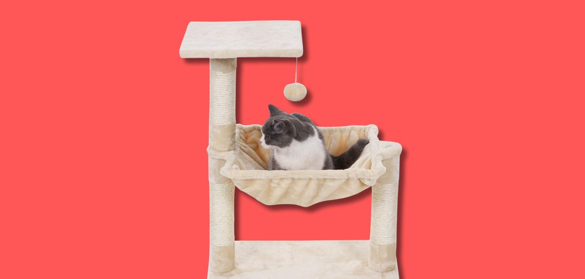 12 tiragraffi per gatti che qualsiasi micio vorrebbe avere