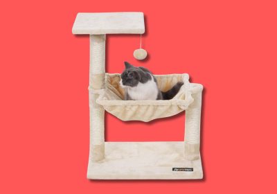 12 tiragraffi per gatti che qualsiasi micio vorrebbe avere