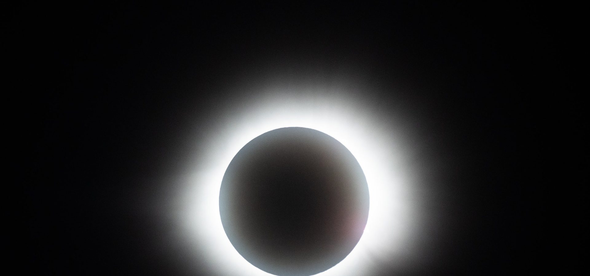 Le eclissi di Sole nella cultura pop, da Berserk ai Simpson