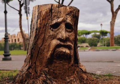 Roma, l’artista Andrea Gandini dà vita all’albero Deku in omaggio al nuovo gioco di Zelda