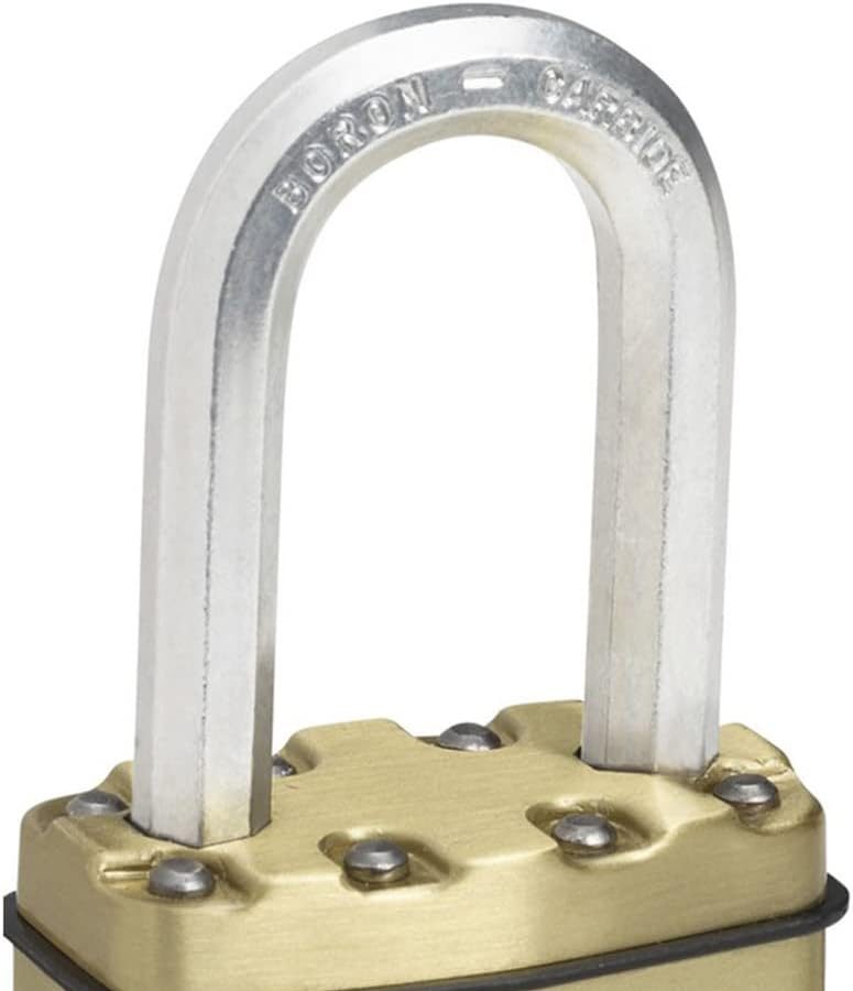 MASTER LOCK Lucchetto ad Alta Sicurezza [Chiave] [Acciaio Laminato e Rivestimento Protettivo] [Esterno] [Arco M] M1BEURDLF – Ideale per Portali, Garage, Sconto
