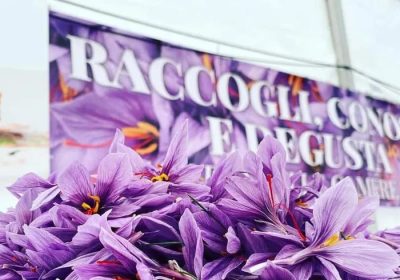 Intelligenza Artificiale e Tecnologia Digitale: il futuro della produzione dello zafferano