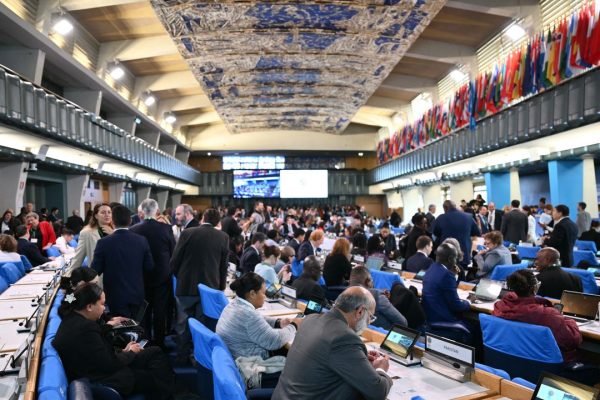 Alla Cop16 sulla biodiversità si cercano 200 miliardi di dollari e un nuovo fondo