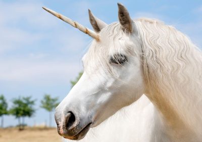 Unicorno, la startup che vuole crearlo con l’ingegneria genetica
