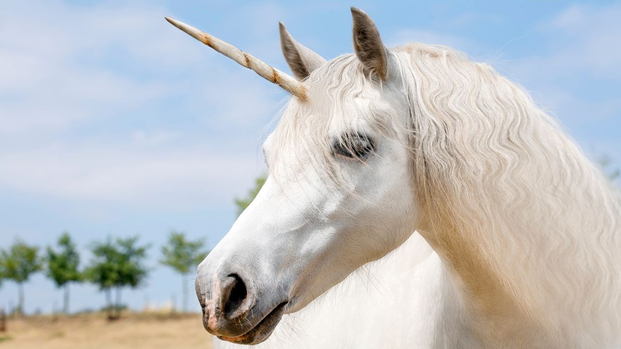 Unicorno, la startup che vuole crearlo con l’ingegneria genetica