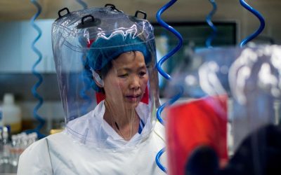 Nuovo coronavirus scoperto nei pipistrelli in Cina, cosa sappiamo