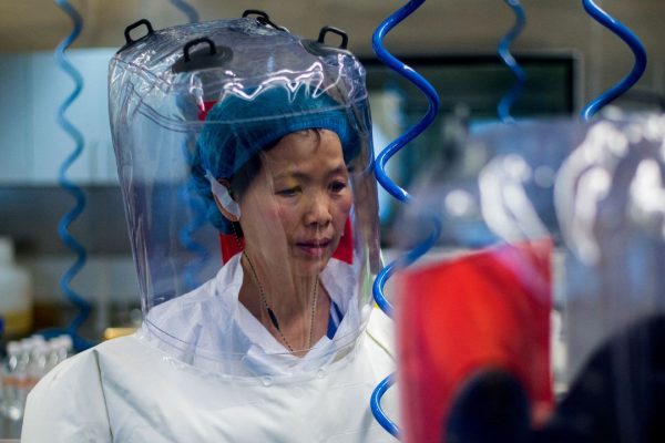 Nuovo coronavirus scoperto nei pipistrelli in Cina, cosa sappiamo