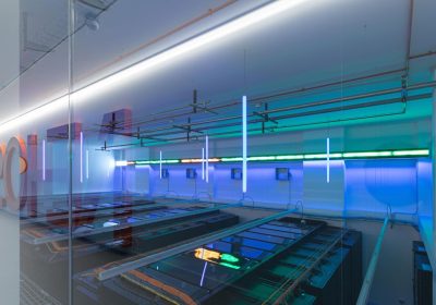 Data center in Italia, come andrebbero riprogettati