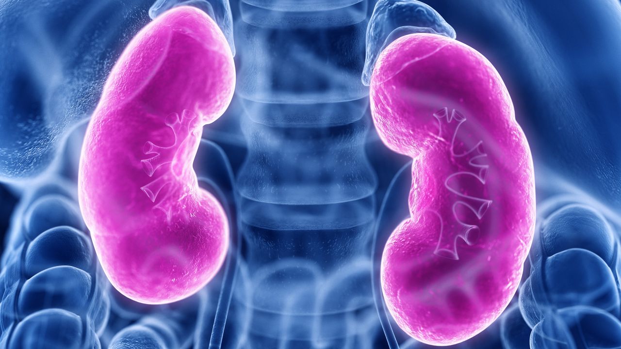 Insufficienza renale, come si manifesta e com’è collegata alla sepsi