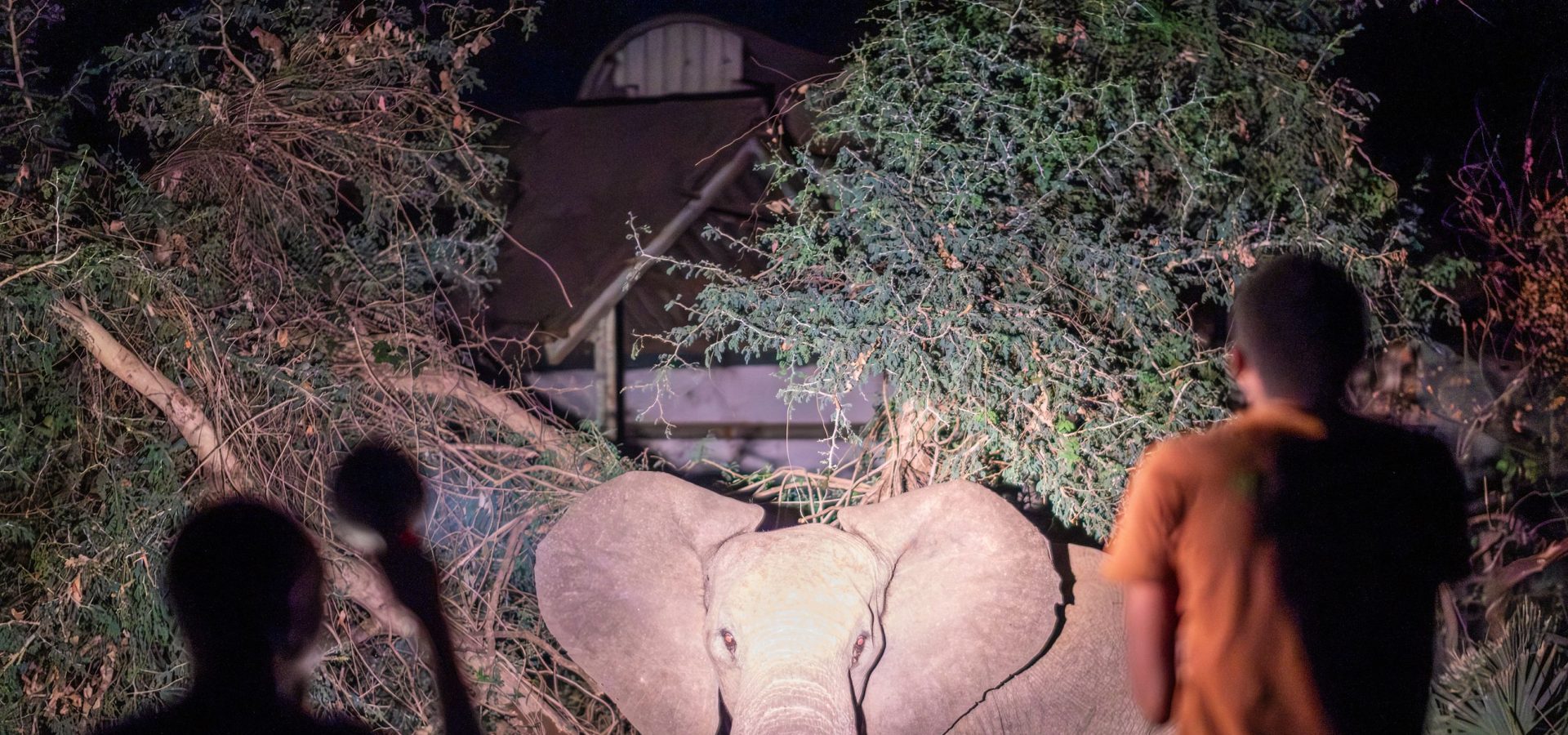 World Press Photo 2025, le foto vincenti