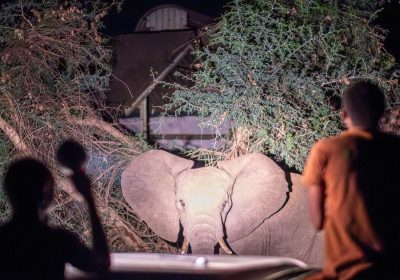 World Press Photo 2025, le foto vincenti