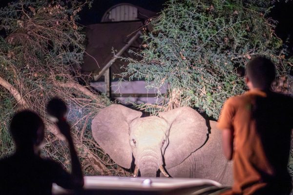 World Press Photo 2025, le foto vincenti