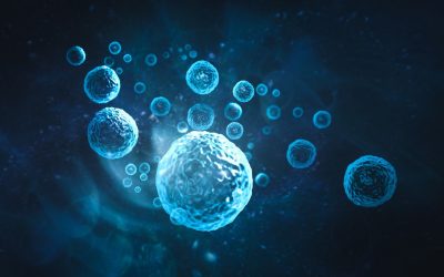 Cellula virtuale, la più grande banca dati di cellule per allenare modelli di Ai è ora accessibile a tutti