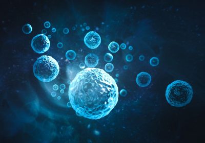 Cellula virtuale, la più grande banca dati di cellule per allenare modelli di Ai è ora accessibile a tutti