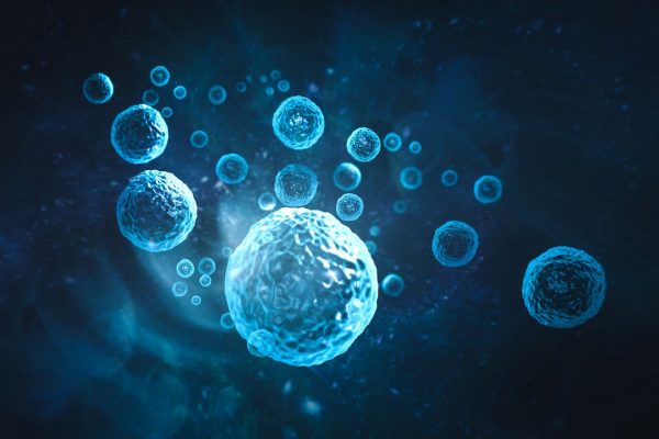 Cellula virtuale, la più grande banca dati di cellule per allenare modelli di Ai è ora accessibile a tutti