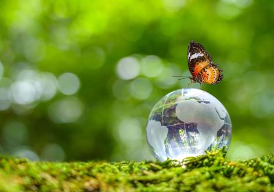 “Pianeta Terra ed esseri viventi sono una cosa sola”, Ferris Jabr riscrive la storia del mondo e dei suoi abitanti