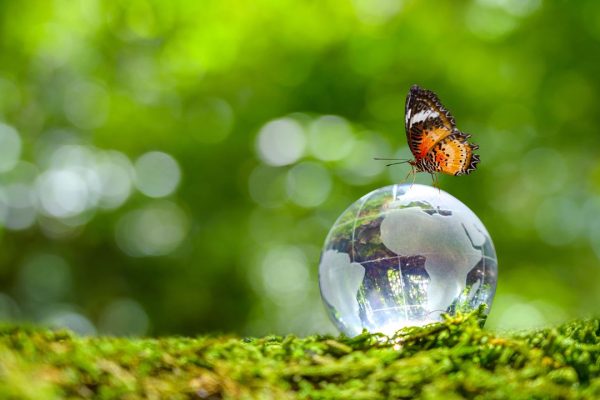 “Pianeta Terra ed esseri viventi sono una cosa sola”, Ferris Jabr riscrive la storia del mondo e dei suoi abitanti