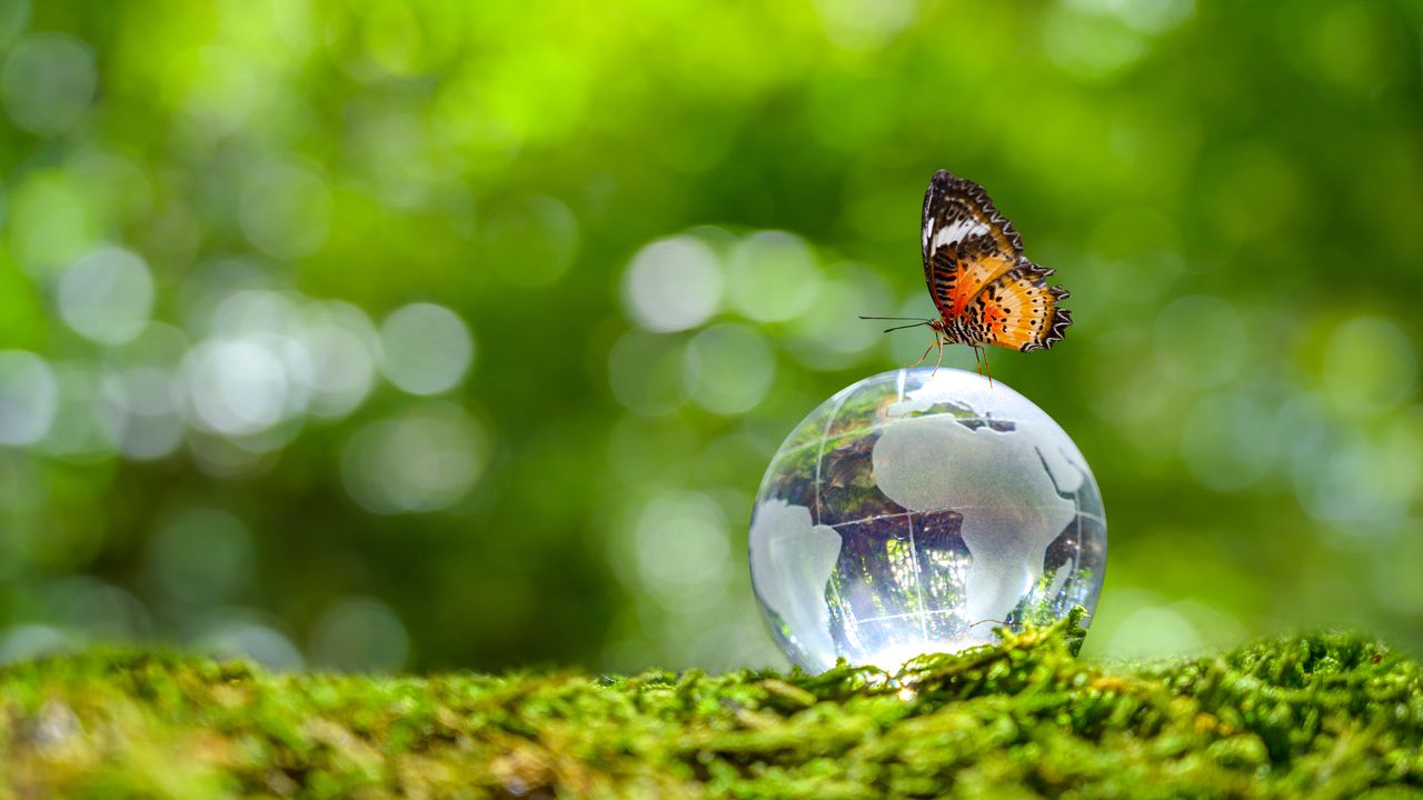 “Pianeta Terra ed esseri viventi sono una cosa sola”, Ferris Jabr riscrive la storia del mondo e dei suoi abitanti