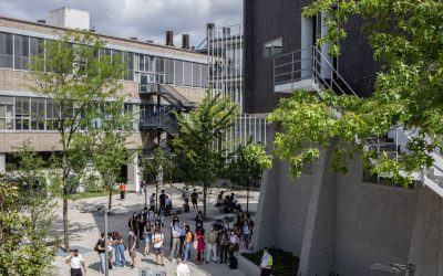 Il Politecnico di Milano sostiene di essere riuscito a dimezzare gli abbandoni grazie all’AI