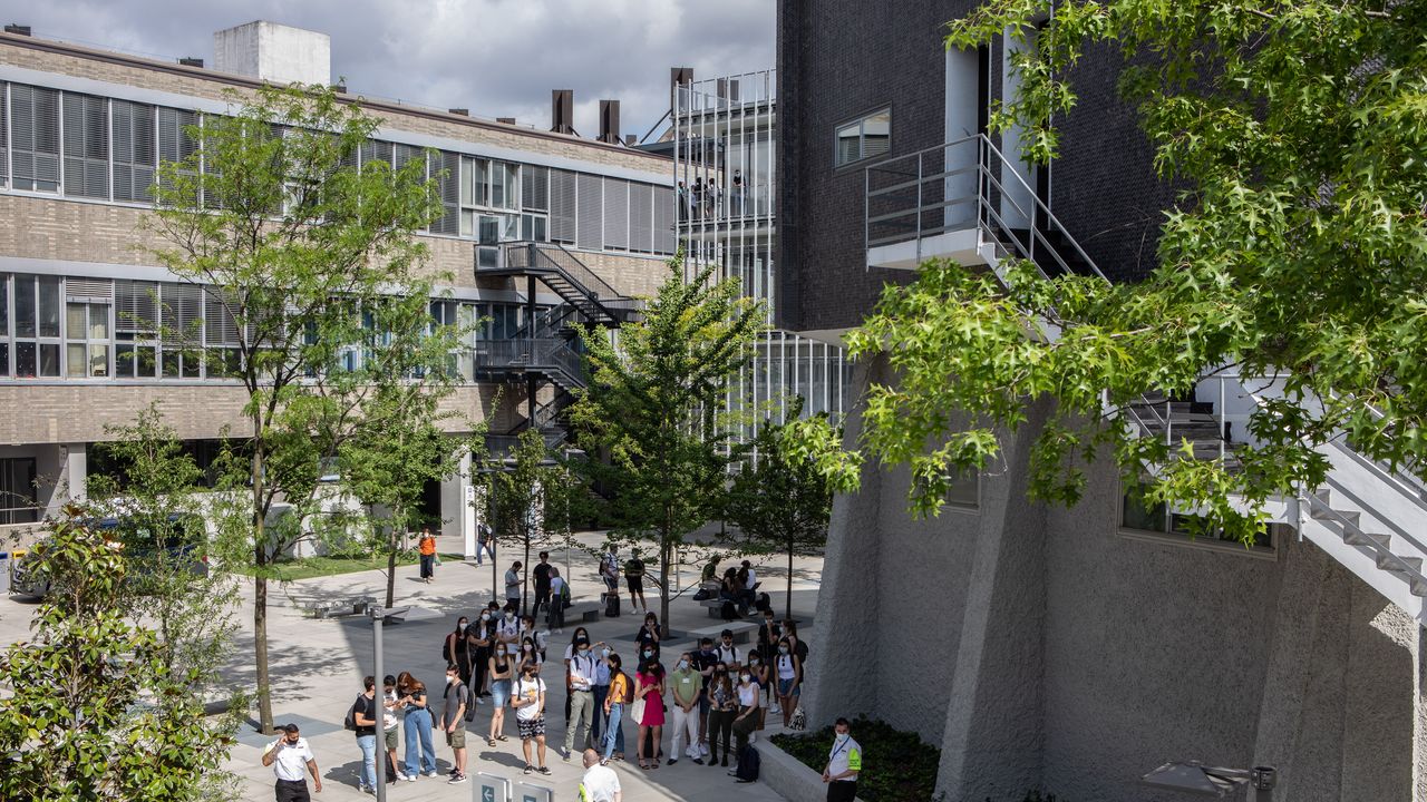 Il Politecnico di Milano sostiene di essere riuscito a dimezzare gli abbandoni grazie all’AI