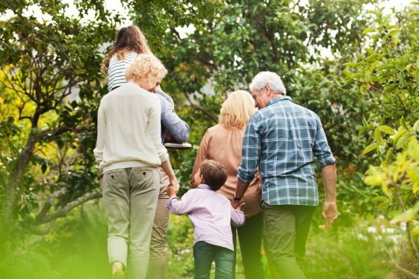 Generazioni, la guida completa da quella perduta a quella Beta