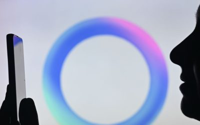 Nuovo tasto WhatsApp: che cos’è e a cosa serve