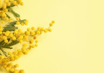 Le bufale sulla giornata internazionale della donna