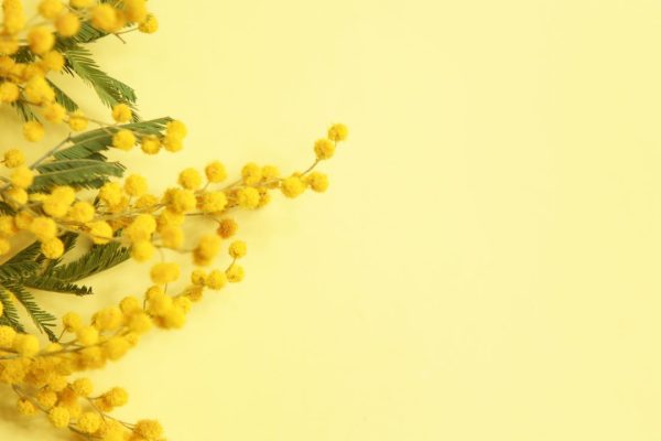 Le bufale sulla giornata internazionale della donna