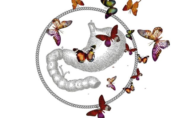 Farfalle nello Stomaco di Livio Ricciardi, monogamia, conflittualità e cambi di emozioni verso il partner