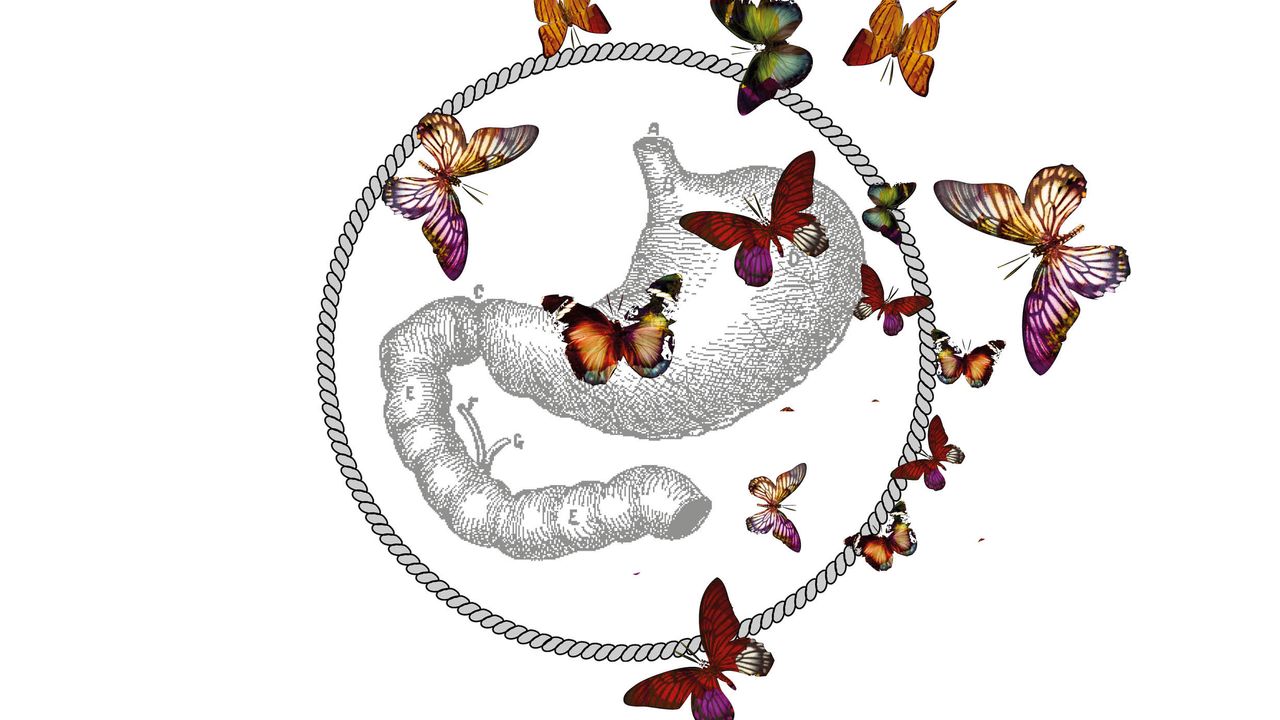 Farfalle nello Stomaco di Livio Ricciardi, monogamia, conflittualità e cambi di emozioni verso il partner