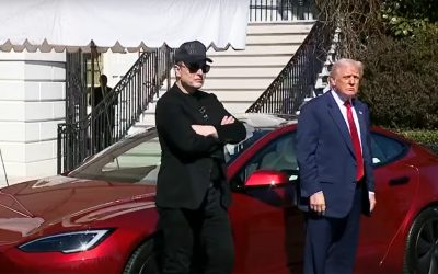 Tesla è davvero penalizzata dal rapporto tra Musk e Trump? I dati ora lo dimostrano