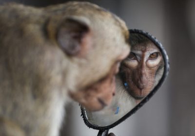 World Press Photo annuncia i vincitori del Contest 2025