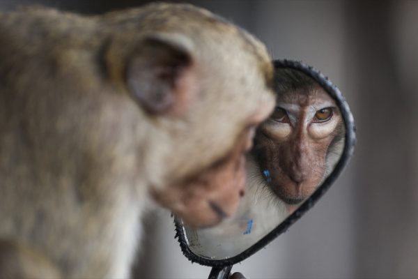 World Press Photo annuncia i vincitori del Contest 2025